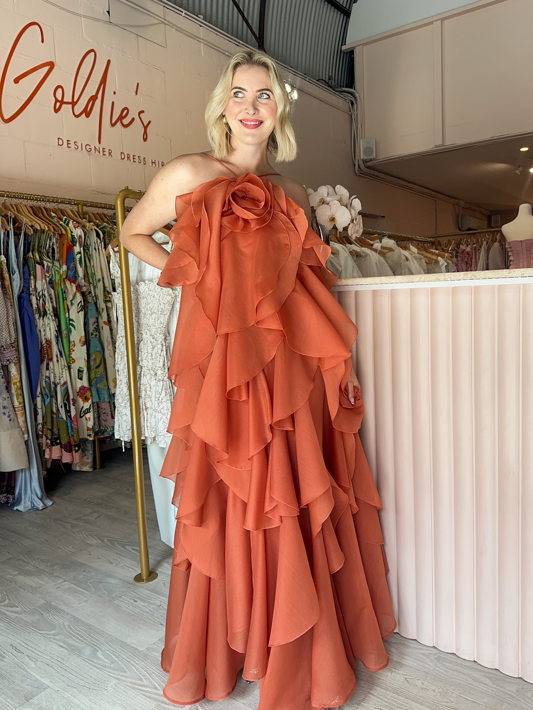 Aje - Pandorea Layered Maxi Dress Clay (Size 10) Aje - Pandorea Layered Maxi Dress Clay (Size 10)