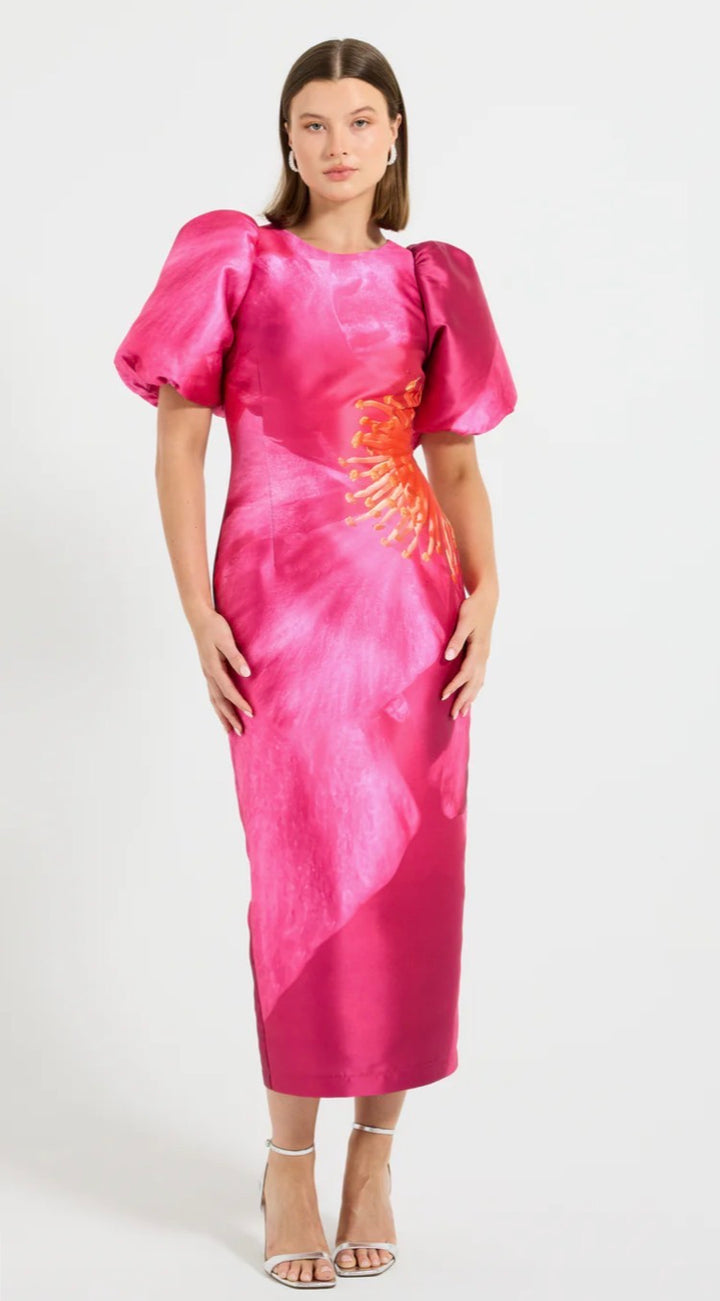 Pasduchas - Thea Sleeve Midi (Size 10)